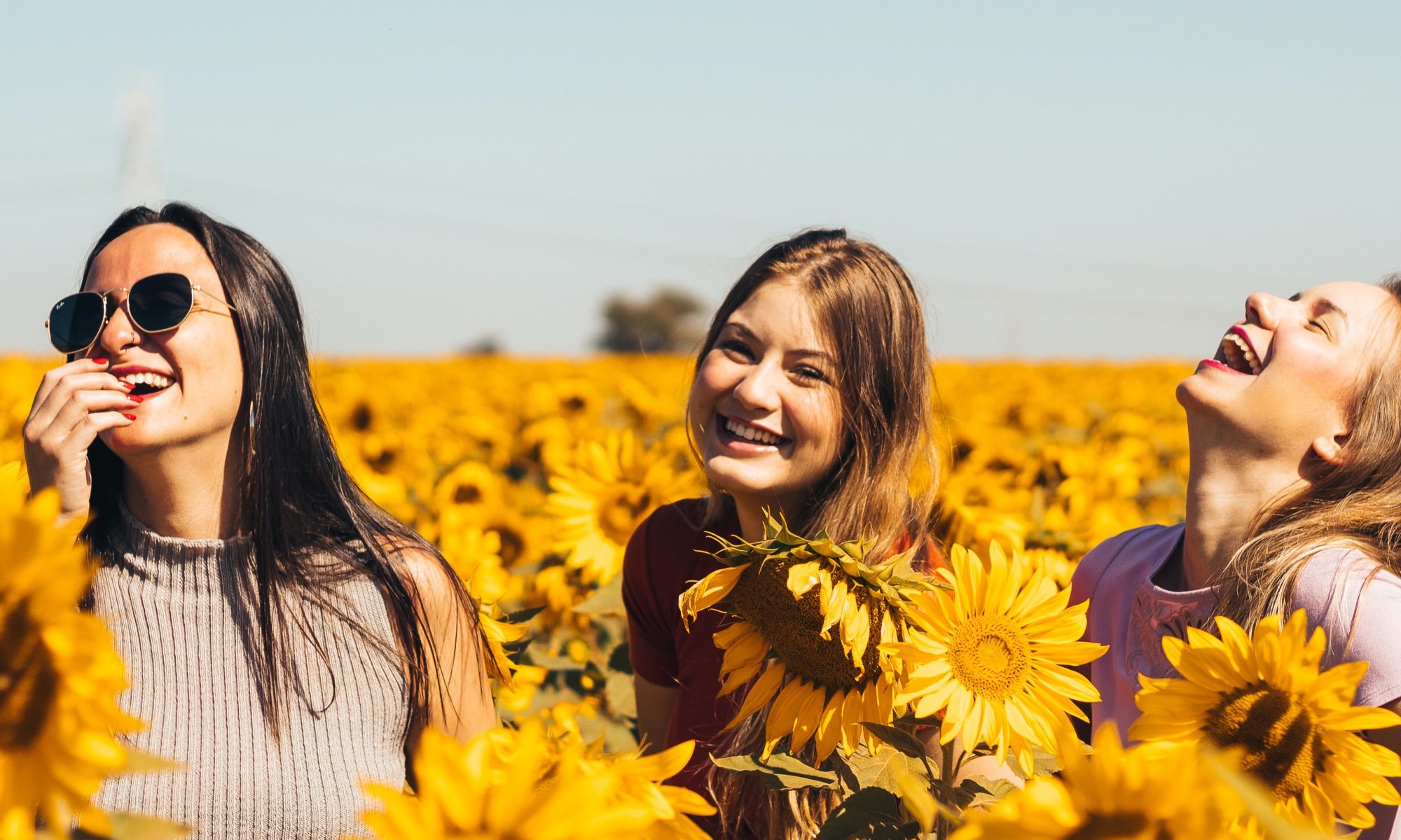 women laughing in sunflowers